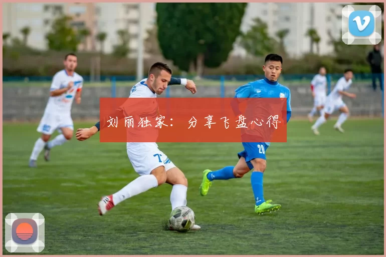 刘丽独家：分享飞盘心得