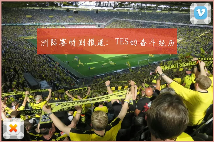洲际赛特别报道：TES的奋斗经历
