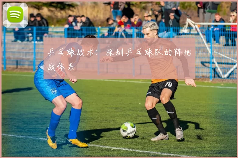 乒乓球战术：深圳乒乓球队的阵地战体系