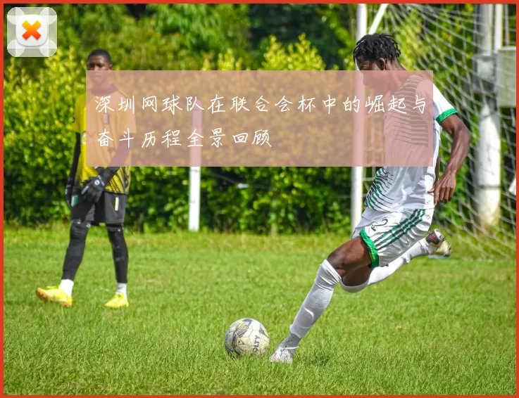 深圳网球队在联合会杯中的崛起与奋斗历程全景回顾