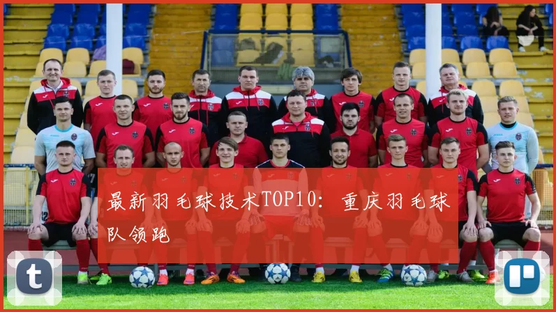 最新羽毛球技术TOP10：重庆羽毛球队领跑