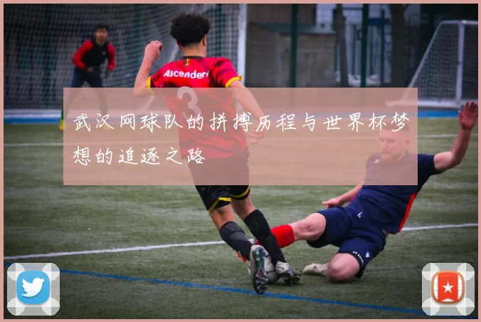 武汉网球队的拼搏历程与世界杯梦想的追逐之路