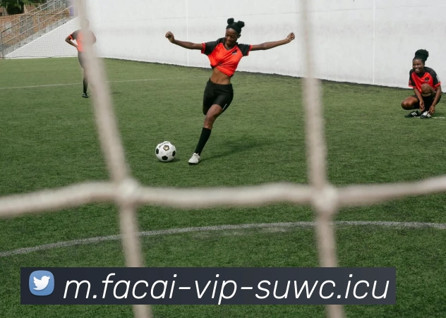 乐鱼体育发展历程